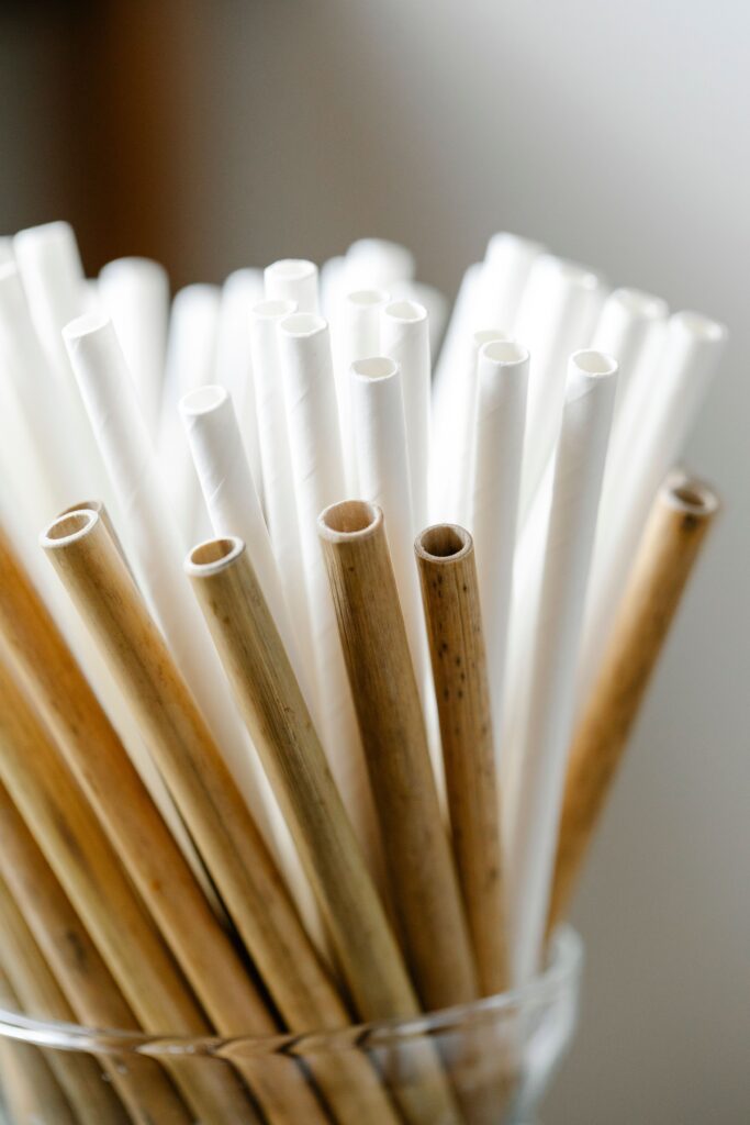 Bamboo Straw Set
