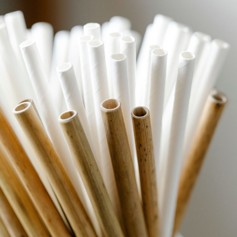 Bamboo Straw Set